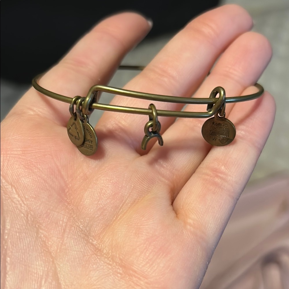 Alex & Ani Gold Charm Wishbone Bangle Bracelet
